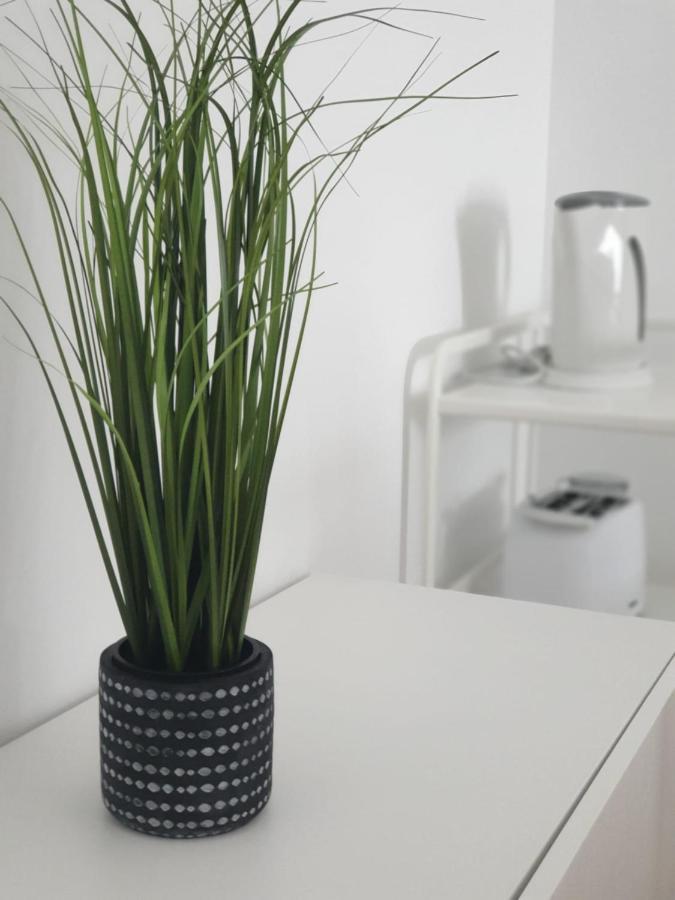 Palmeira Comfort Aveiro Esterno foto